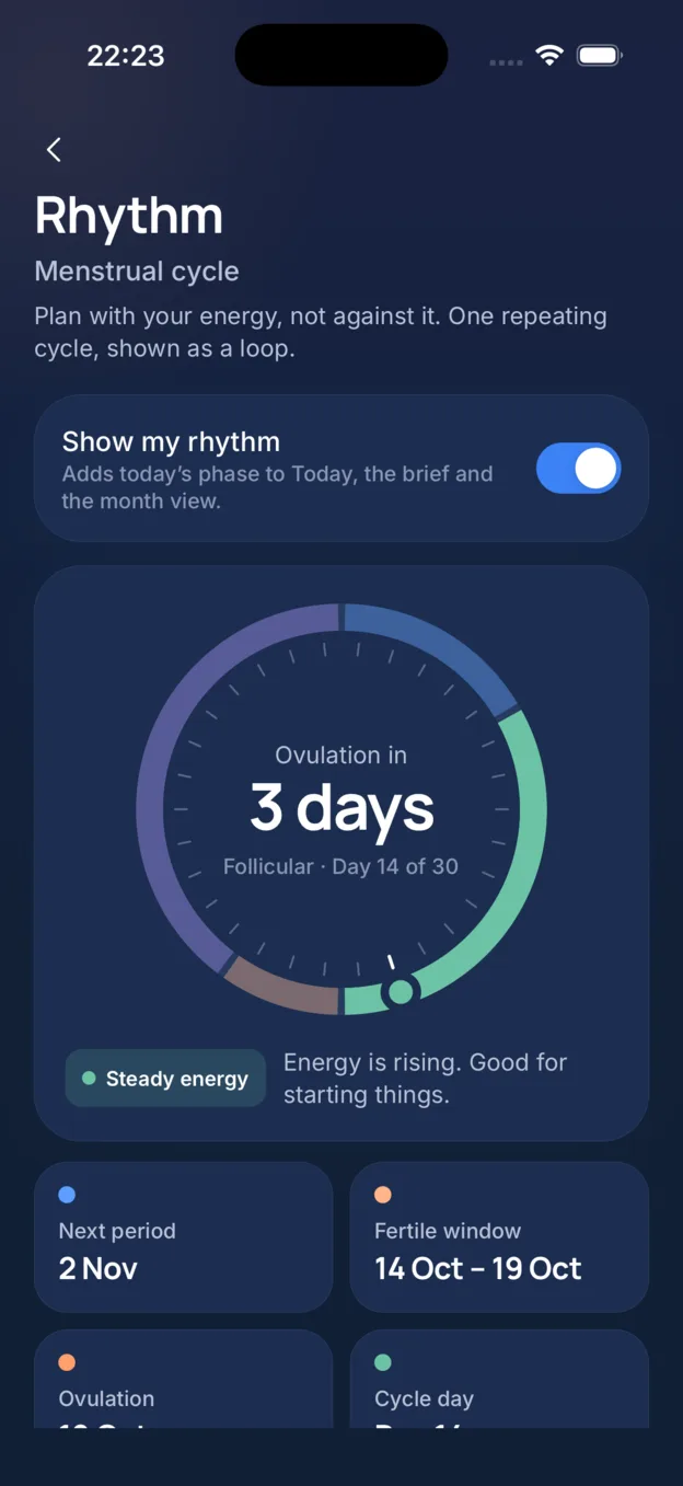 Rhythm at night: the loop of four phases with Ovulation in 3 days in the middle, Follicular, day 14 of 30, and Steady energy